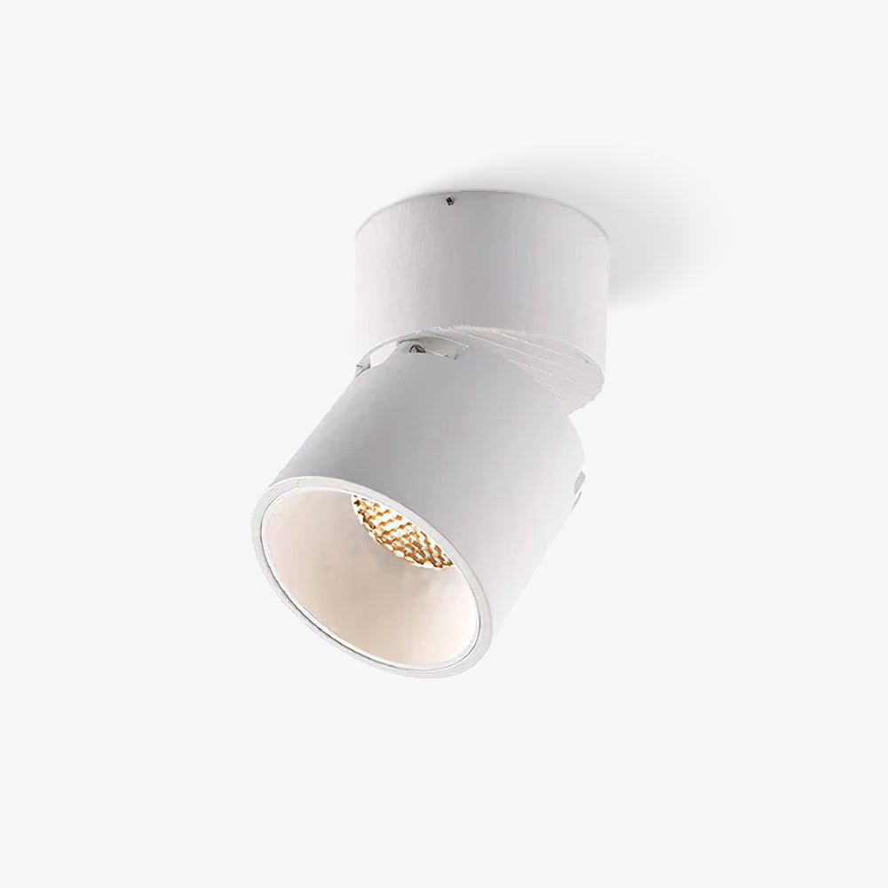 Alvynora Modern Minimalist Spotlights Ceiling lamp-Neutral Decor