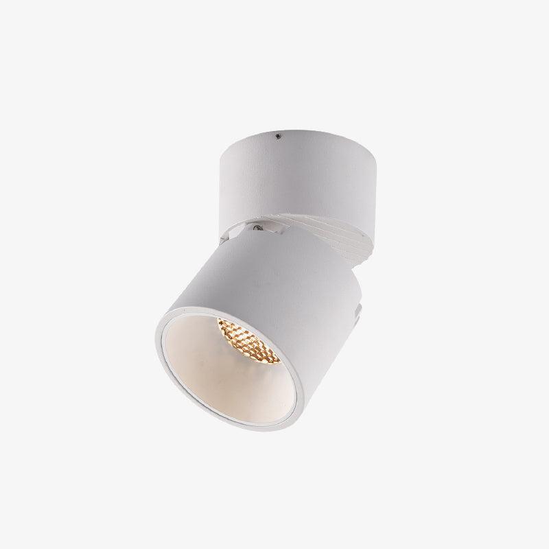 Alvynora Modern Minimalist Spotlights Ceiling lamp-Neutral Decor