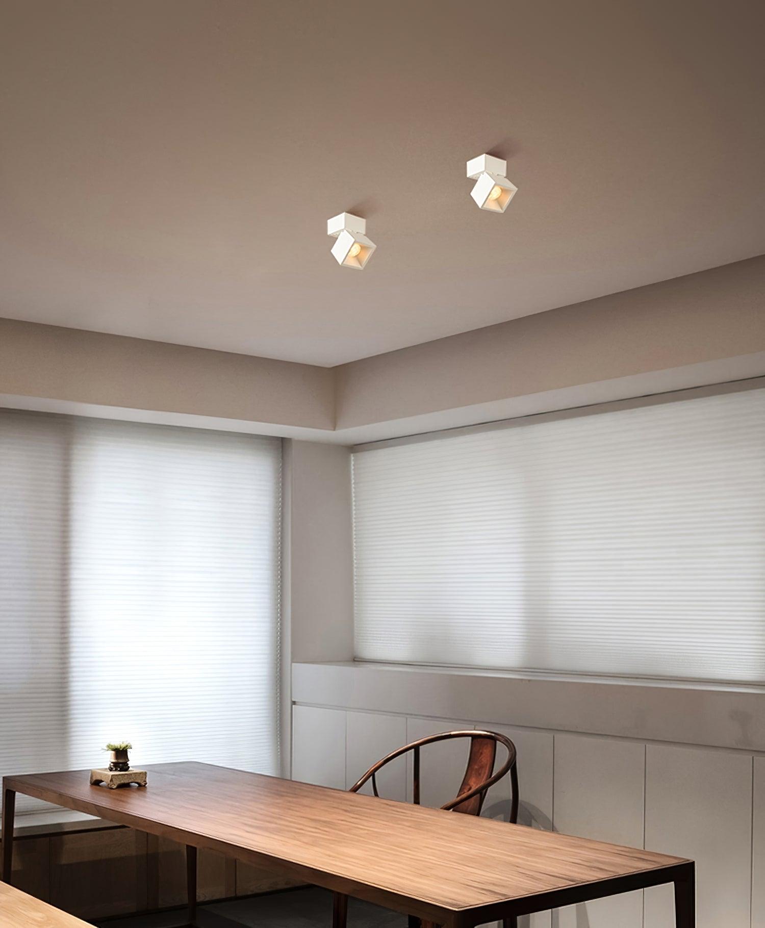 Alvynora Modern Minimalist Spotlights Ceiling lamp-Neutral Decor