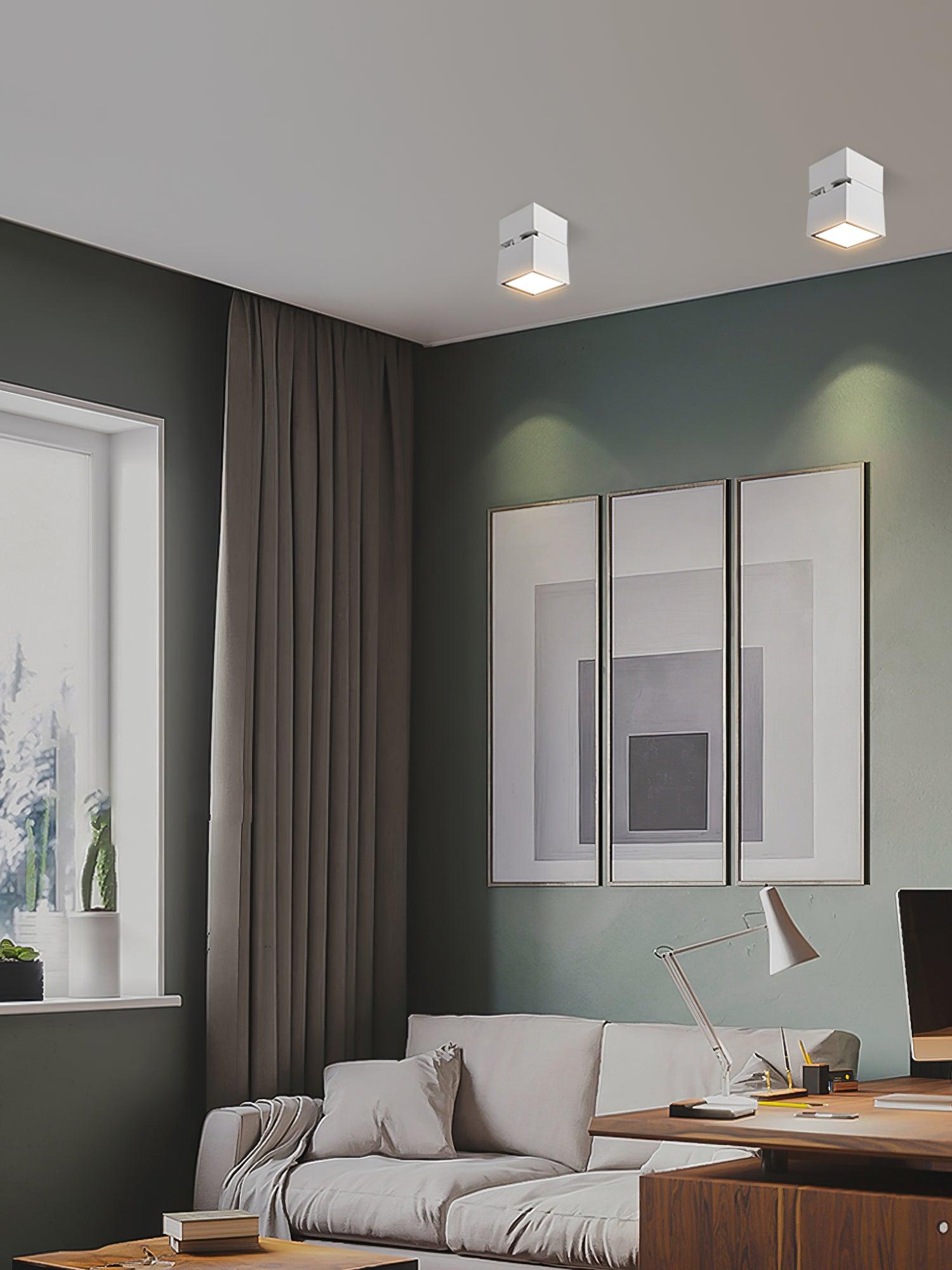 Alvynora Modern Minimalist Spotlights Ceiling lamp-Neutral Decor
