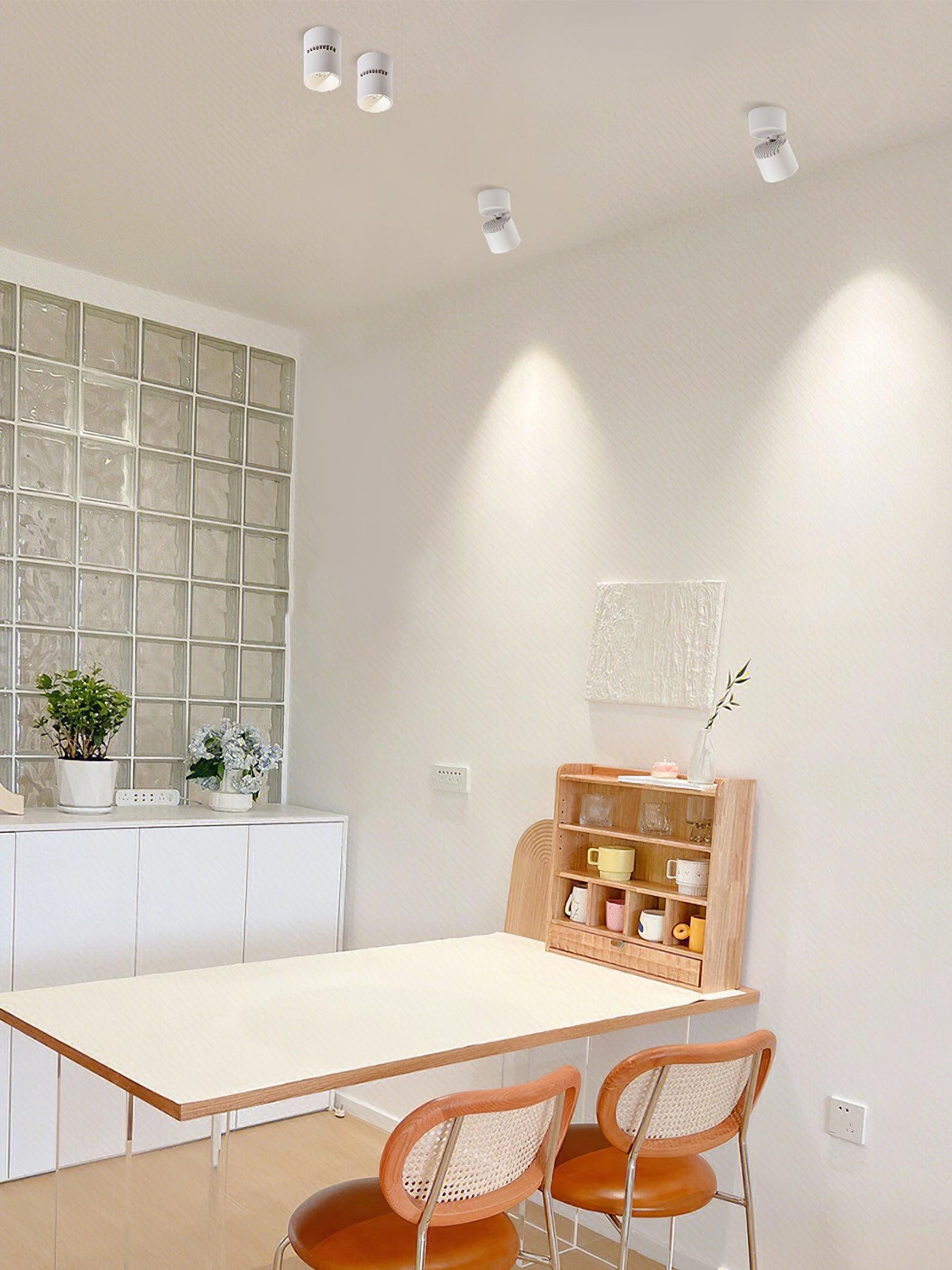 Alvynora Modern Minimalist Spotlights Ceiling lamp-Neutral Decor