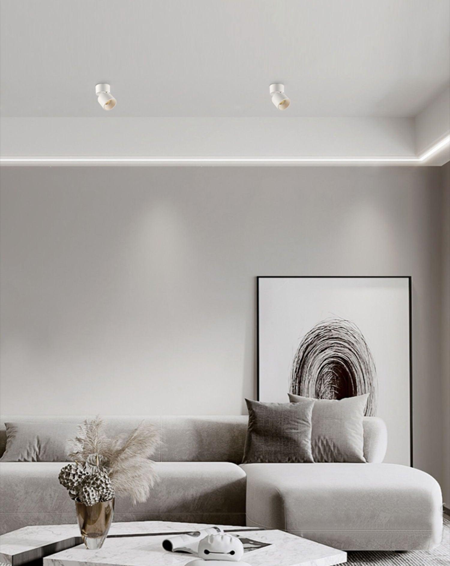 Alvynora Modern Minimalist Spotlights Ceiling lamp-Neutral Decor