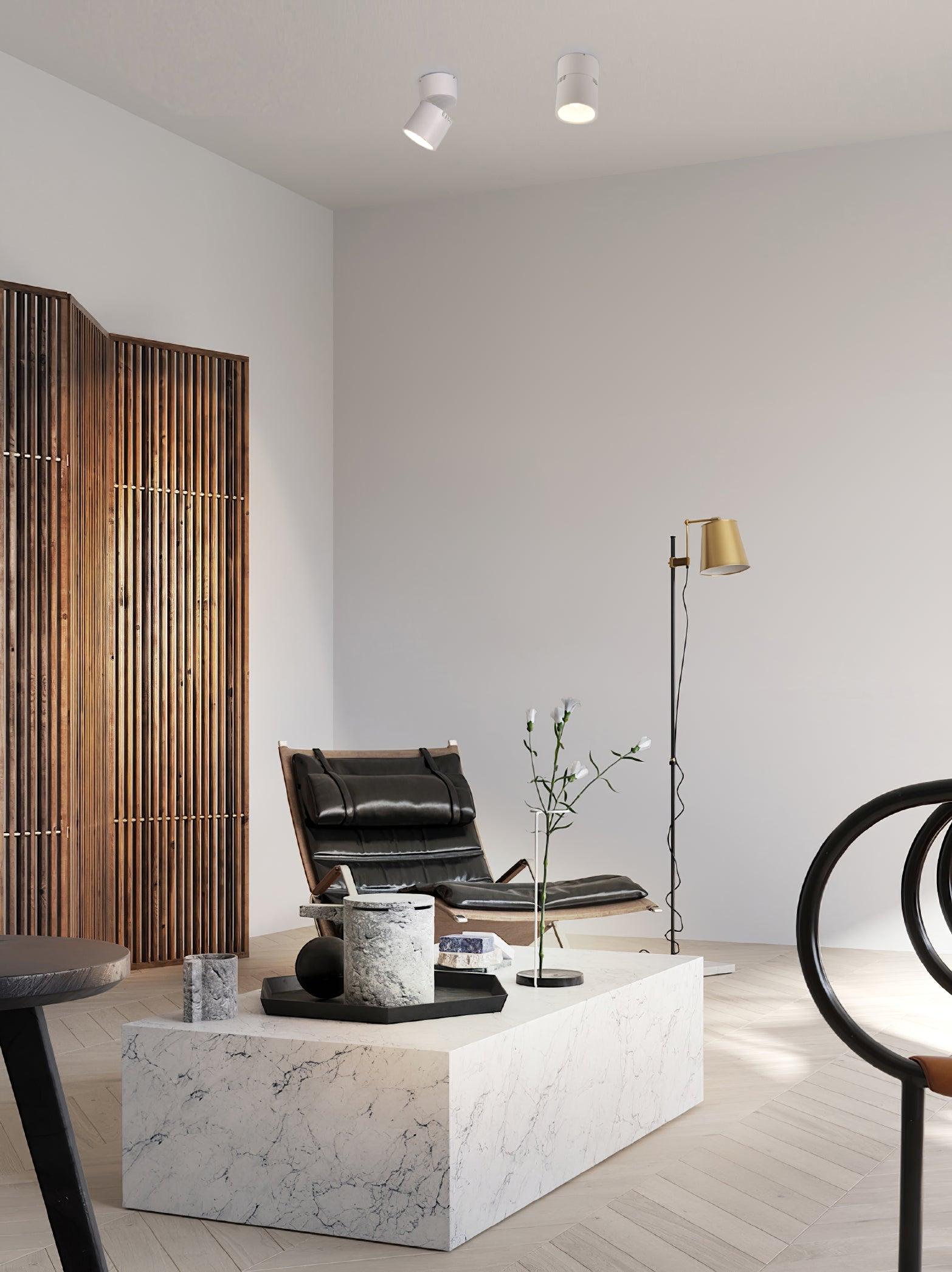 Alvynora Modern Minimalist Spotlights Ceiling lamp-Neutral Decor