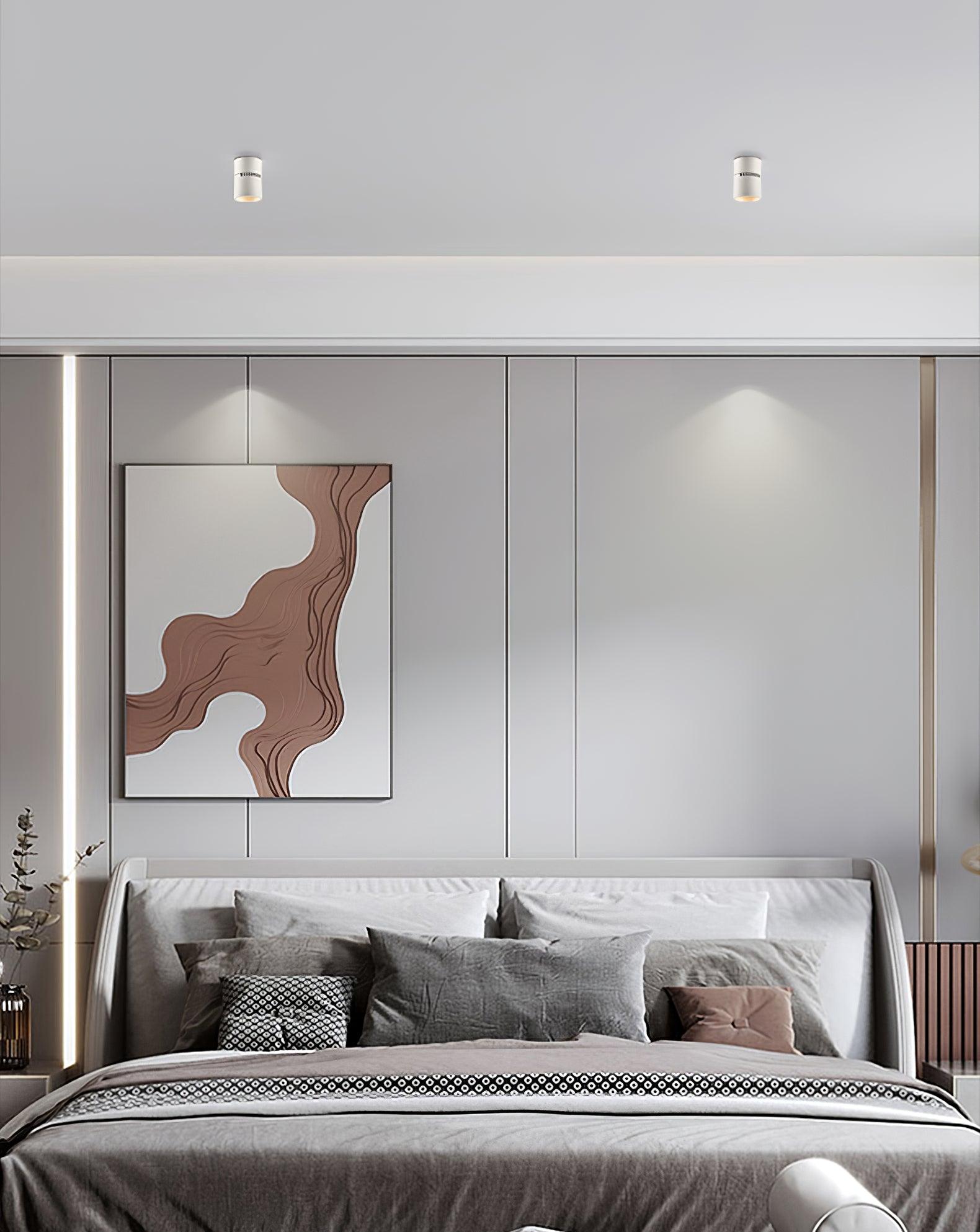 Alvynora Modern Minimalist Spotlights Ceiling lamp-Neutral Decor