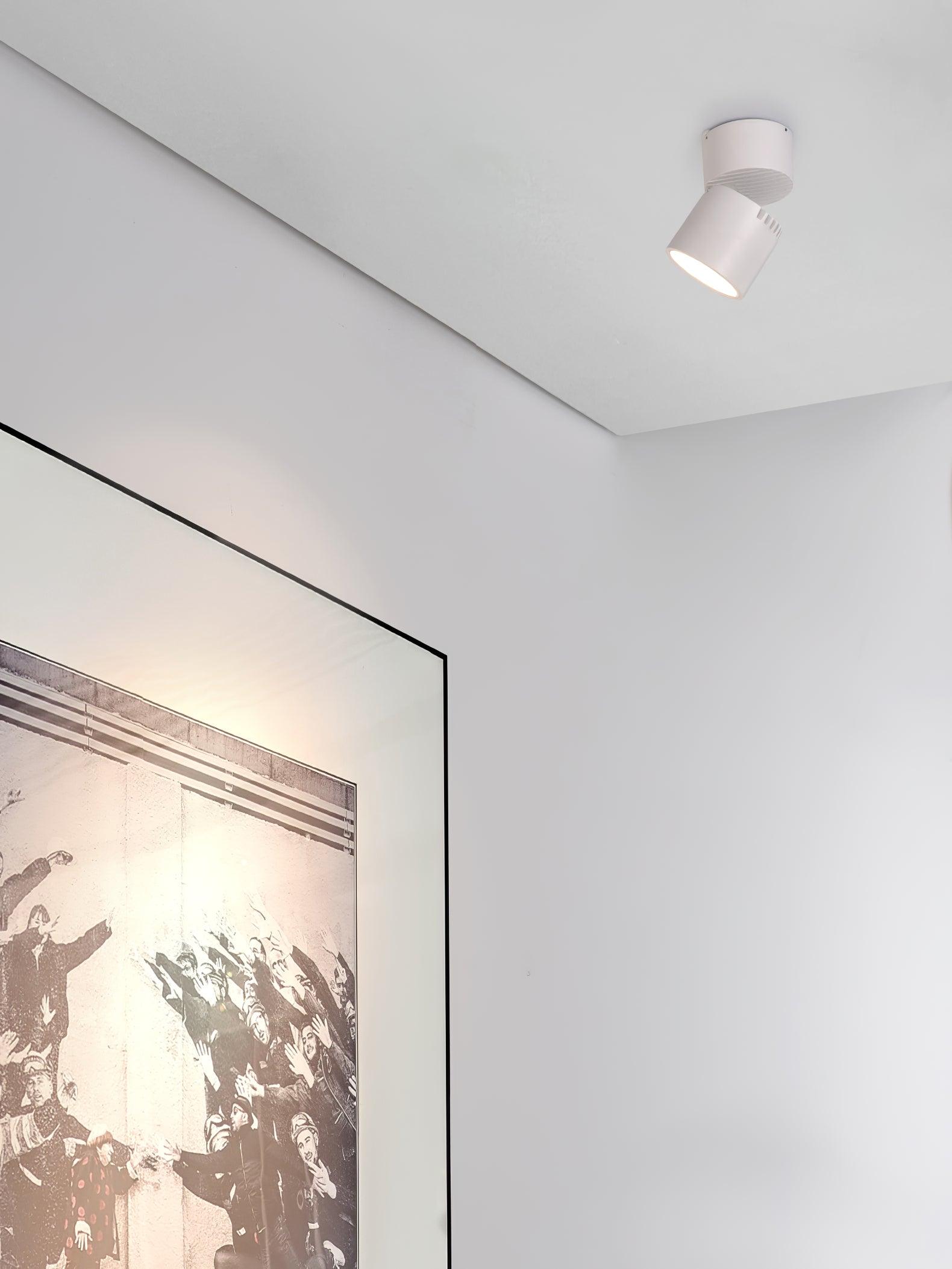 Alvynora Modern Minimalist Spotlights Ceiling lamp-Neutral Decor