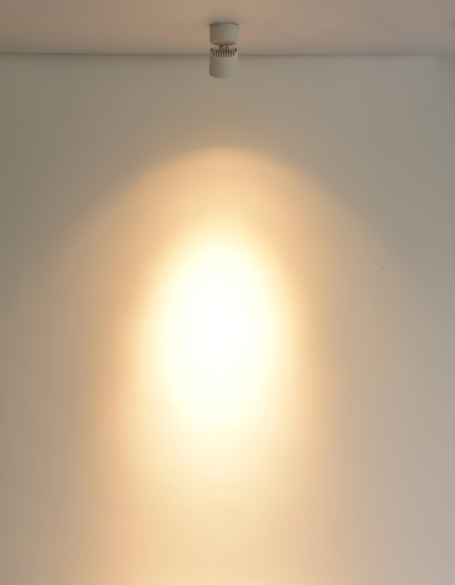 Alvynora Modern Minimalist Spotlights Ceiling lamp-Neutral Decor
