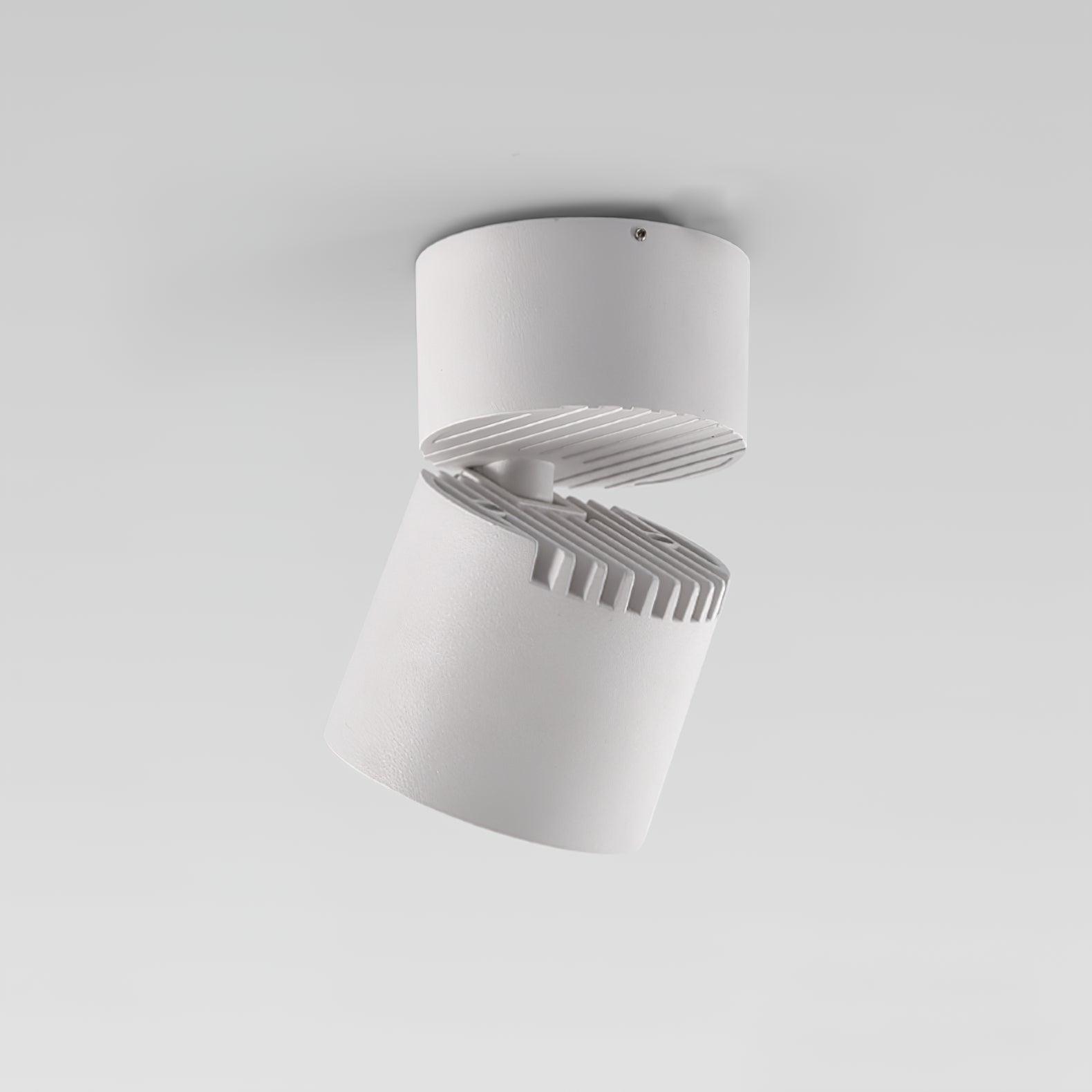 Alvynora Modern Minimalist Spotlights Ceiling lamp-Neutral Decor