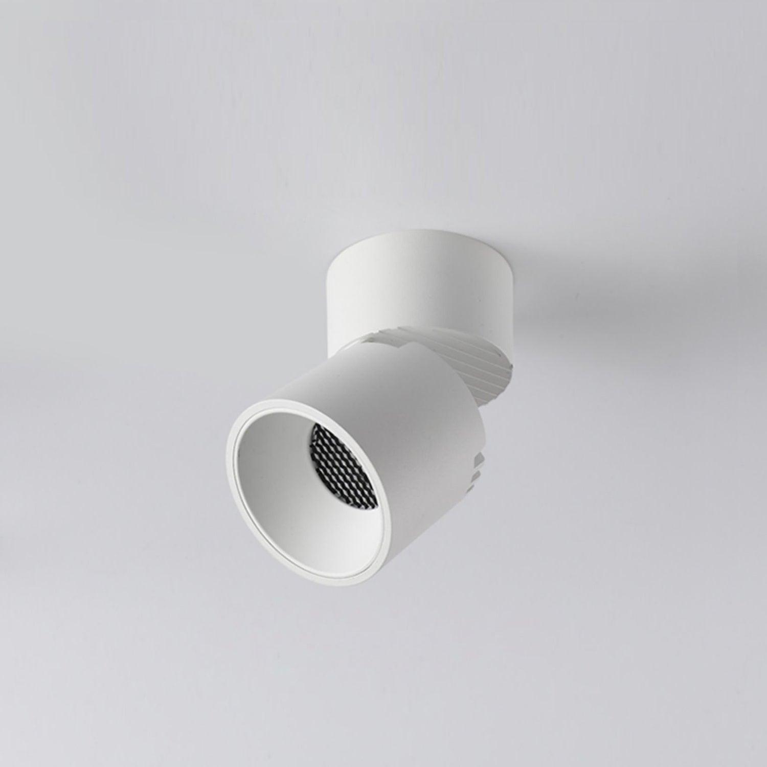 Alvynora Modern Minimalist Spotlights Ceiling lamp-Neutral Decor