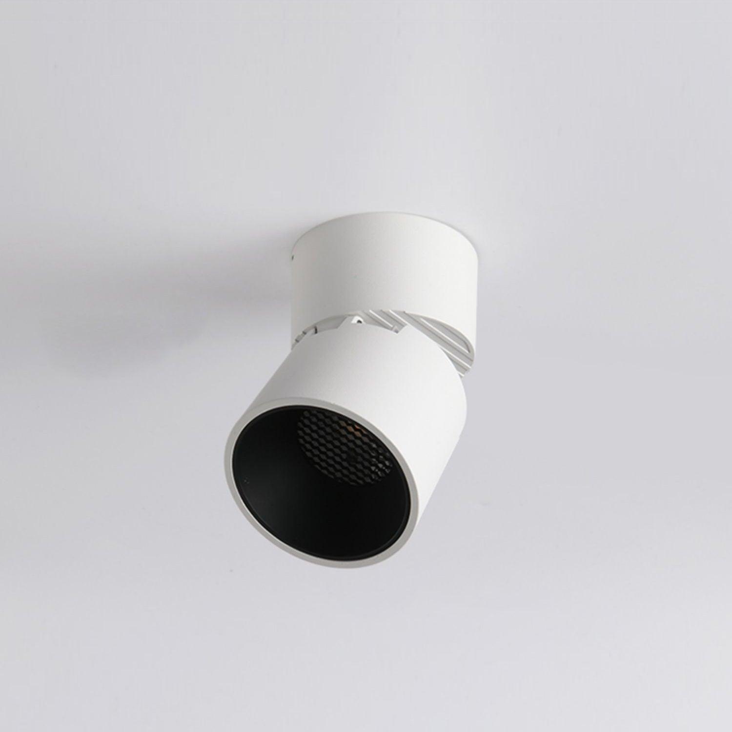 Alvynora Modern Minimalist Spotlights Ceiling lamp-Neutral Decor