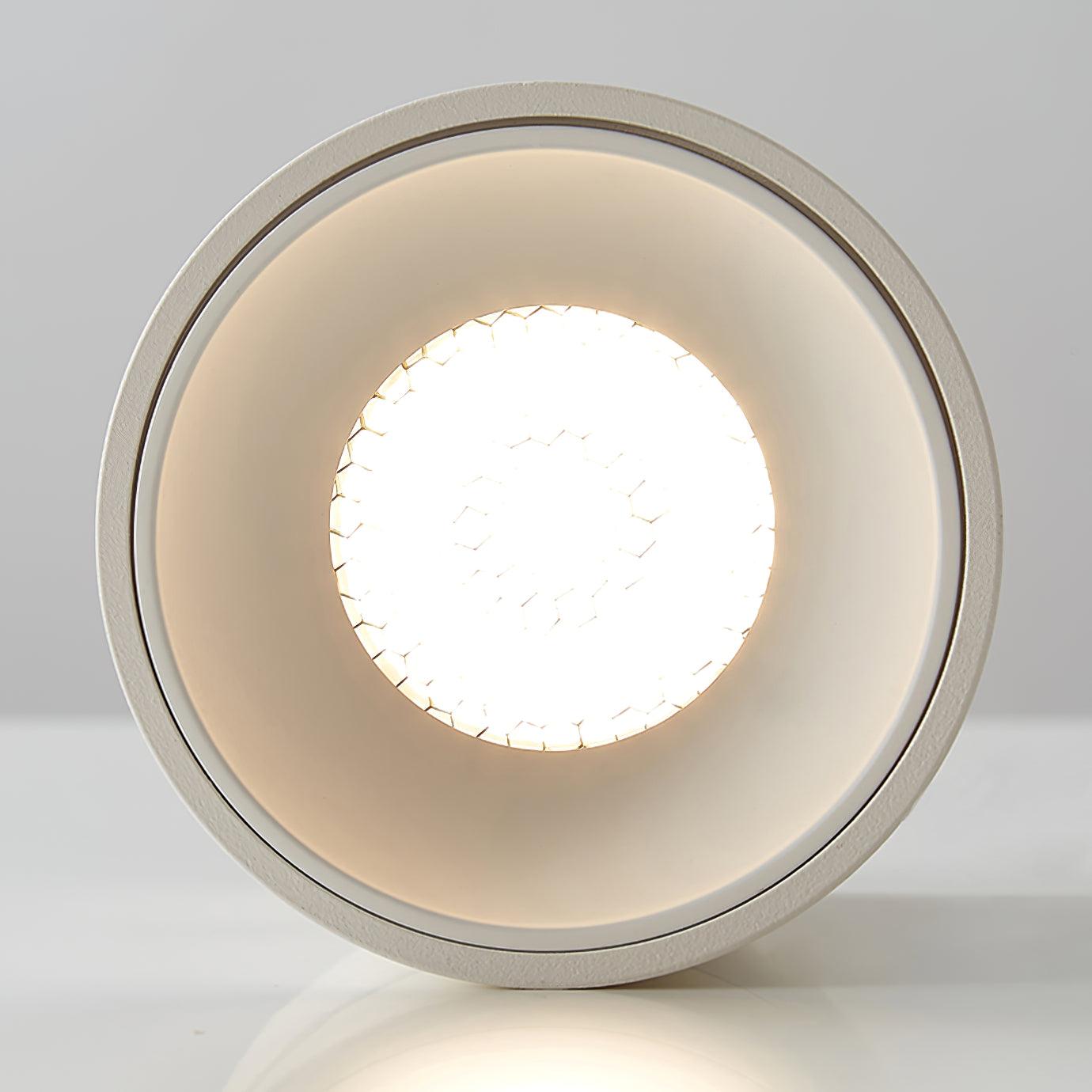 Alvynora Modern Minimalist Spotlights Ceiling lamp-Neutral Decor