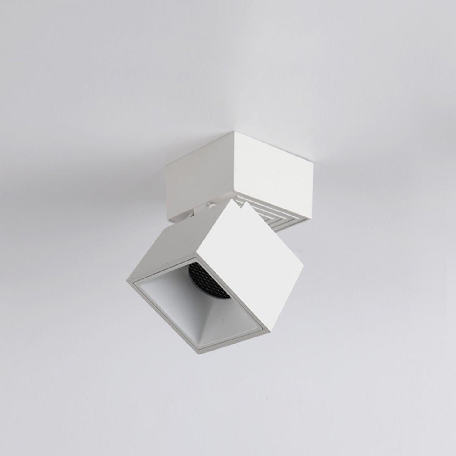Alvynora Modern Minimalist Spotlights Ceiling lamp-Neutral Decor