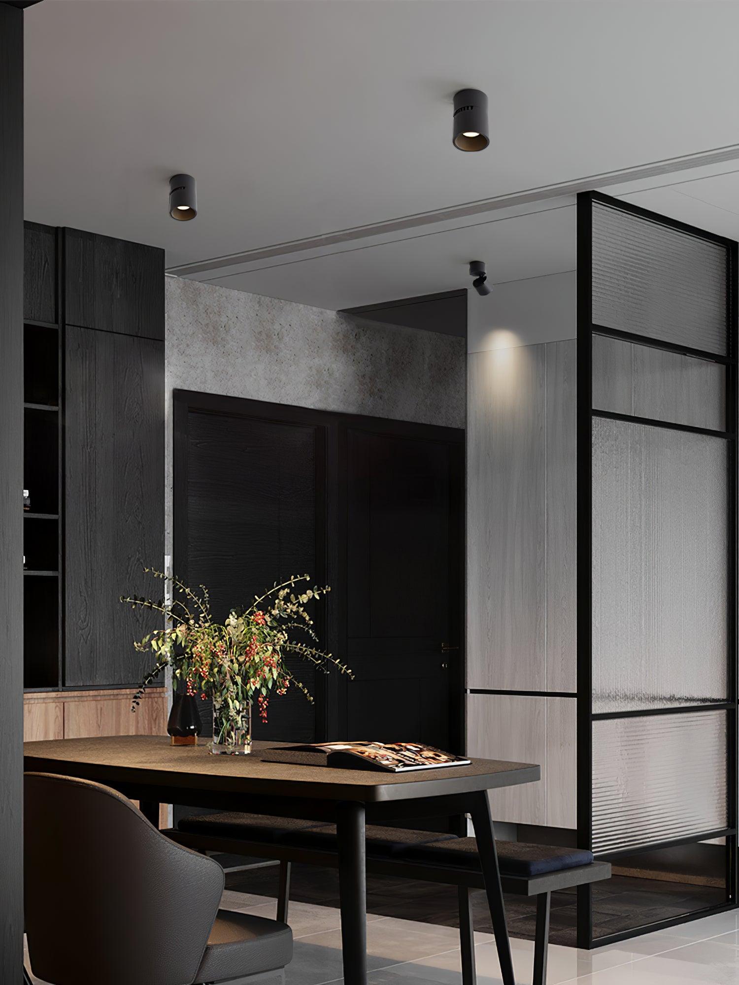 Alvynora Modern Minimalist Spotlights Ceiling lamp-Neutral Decor