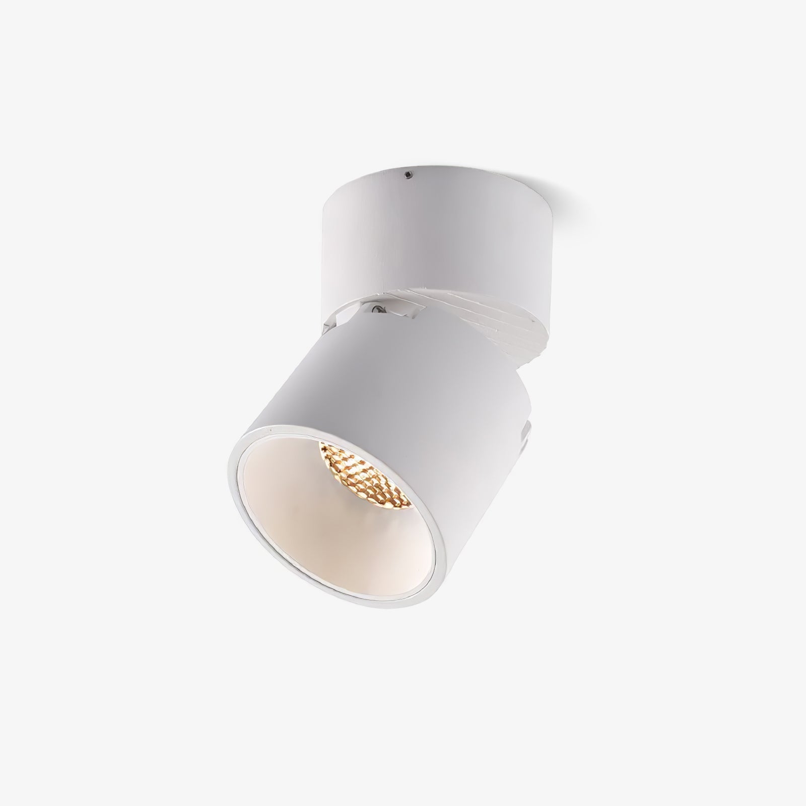 Alvynora Modern Minimalist Spotlights Ceiling lamp-Neutral Decor