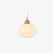 Pumpkin Modern Wood Pendant Lamp-Neutral Decor