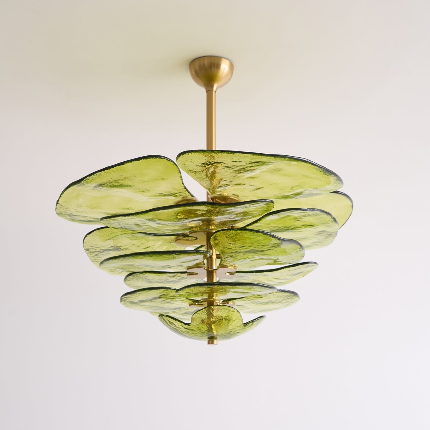 Evvinora Chandelier