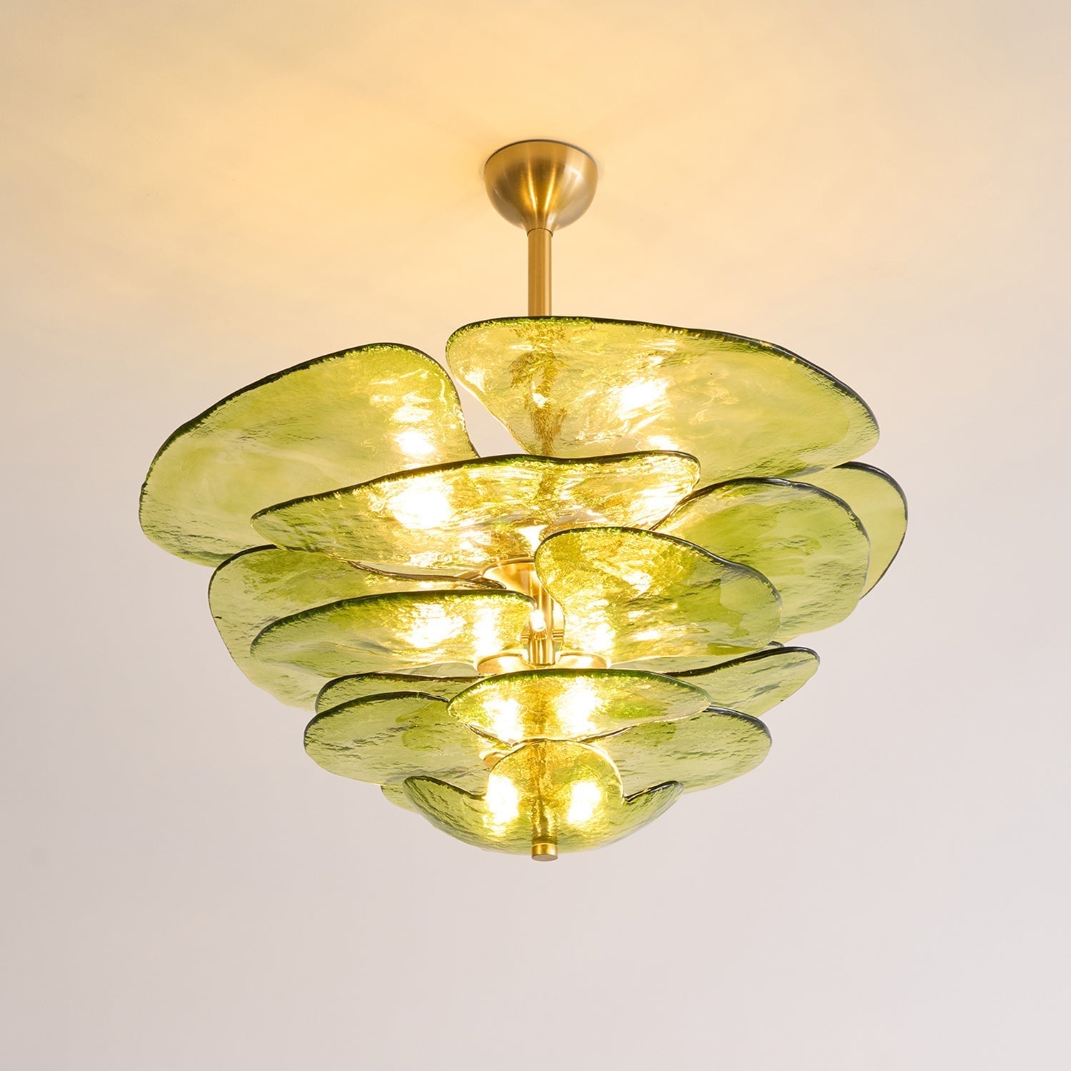 Evvinora Chandelier