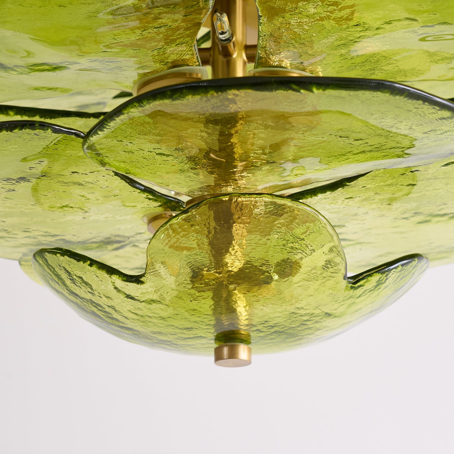 Evvinora Chandelier