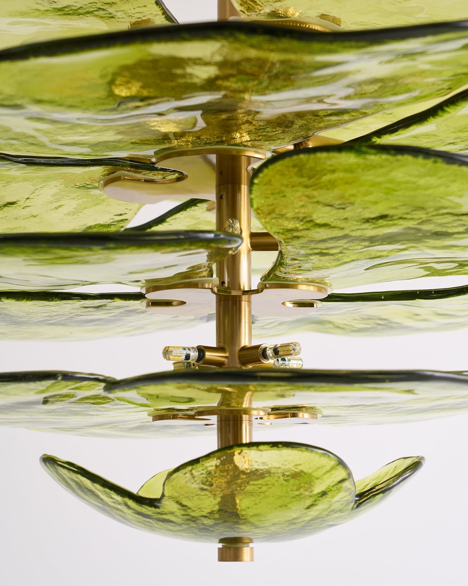 Evvinora Chandelier