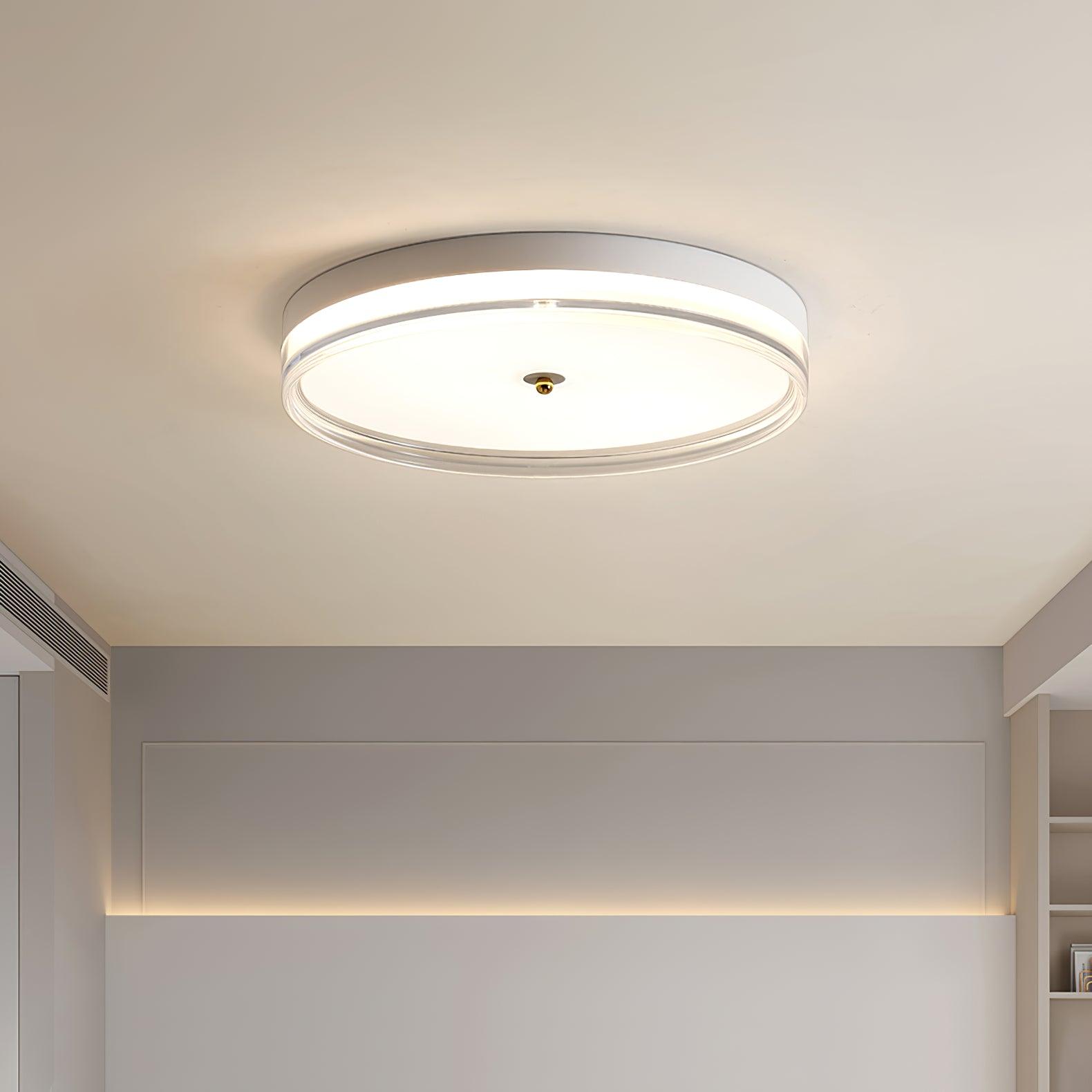 Usolira Modern Minimalist Ceiling Light-Neutral Decor