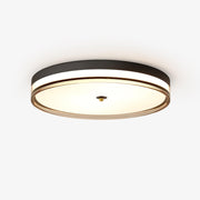 Usolira Modern Minimalist Ceiling Light-Neutral Decor
