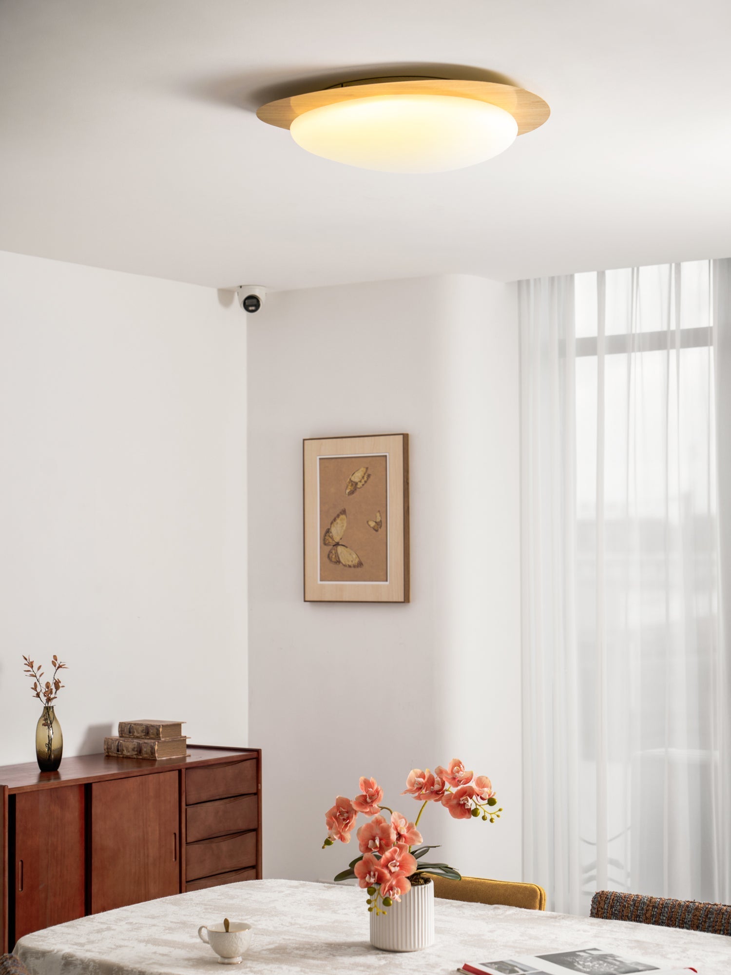 Solara Ceiling Light Pebble Walnut Acrylic LED-Neutral Decor