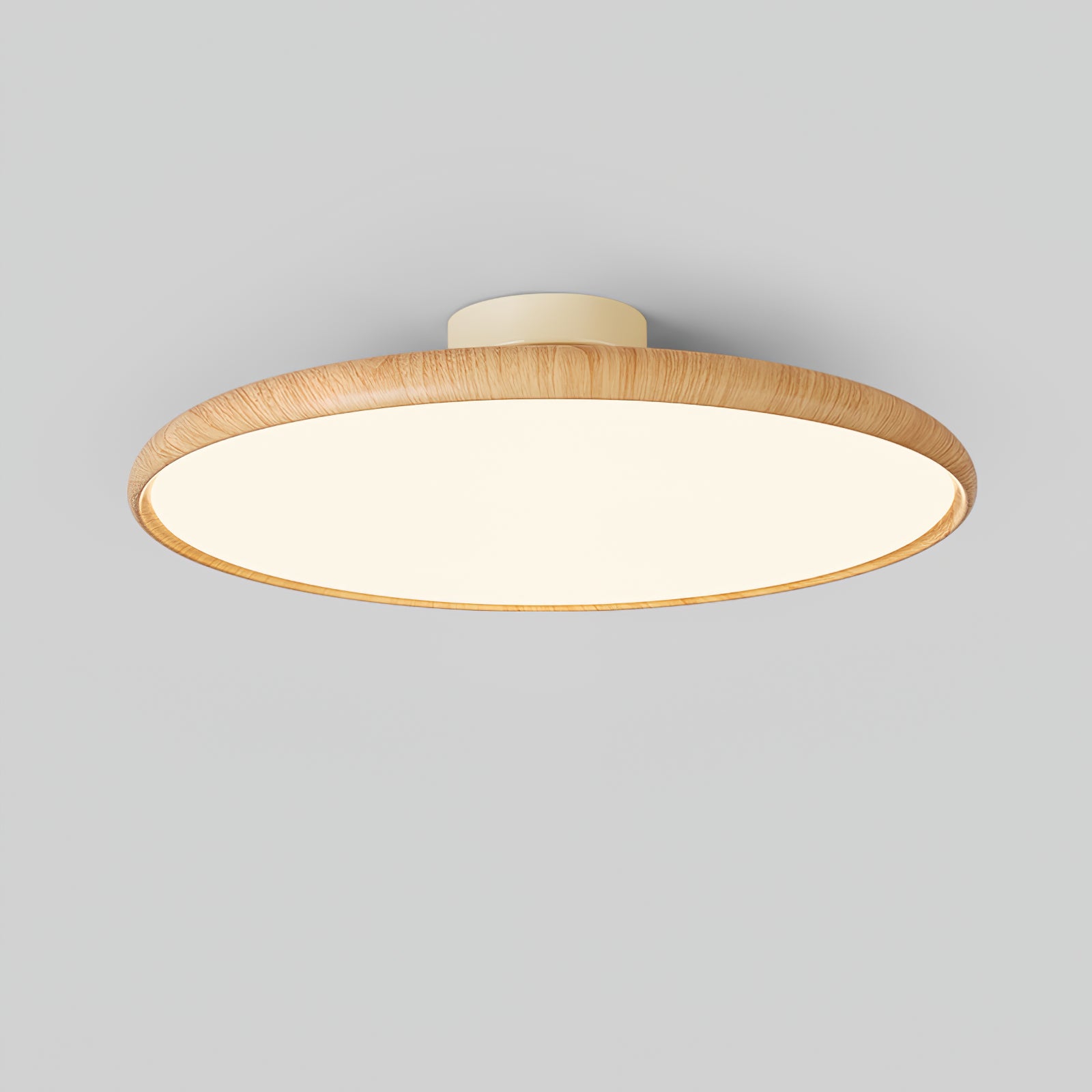 Ralemu Modern Minimalist Adjustable Ceiling Lamp-Neutral Decor