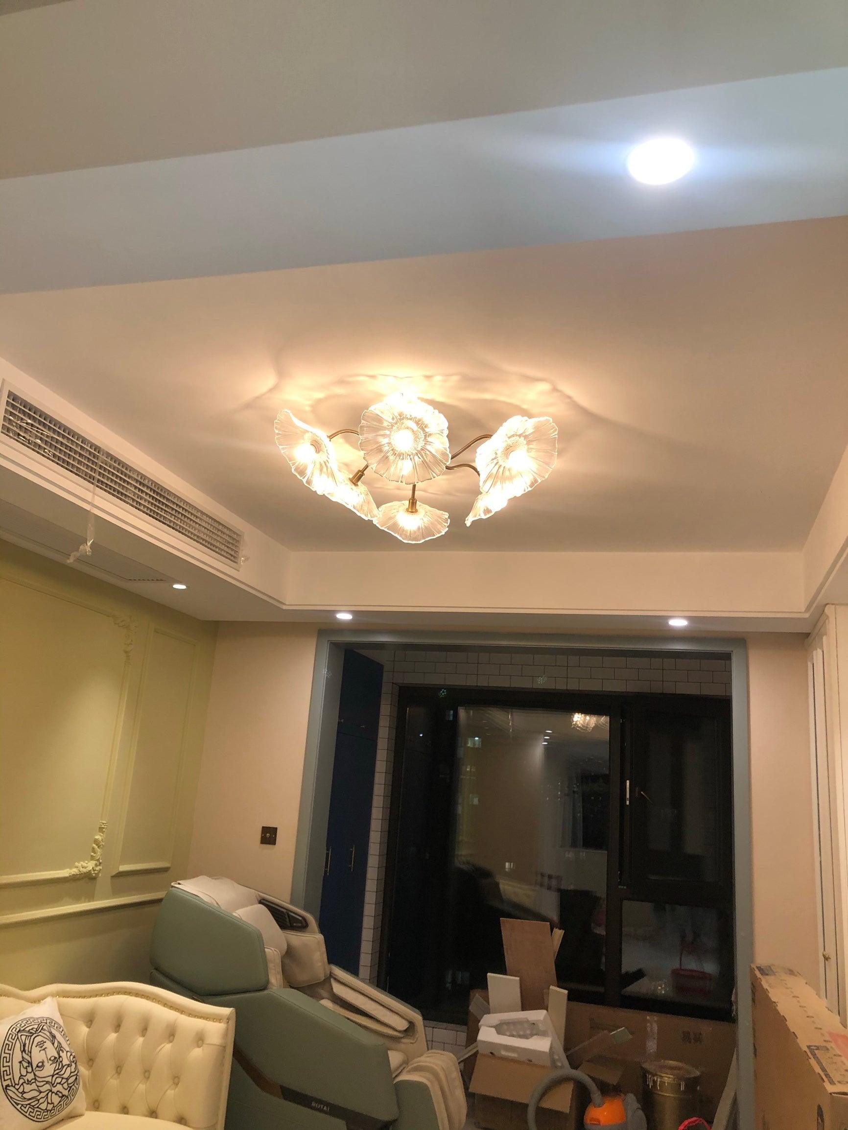 Solara Ceiling Lamp Leaf Glass with Brass Elegant-Neutral Decor