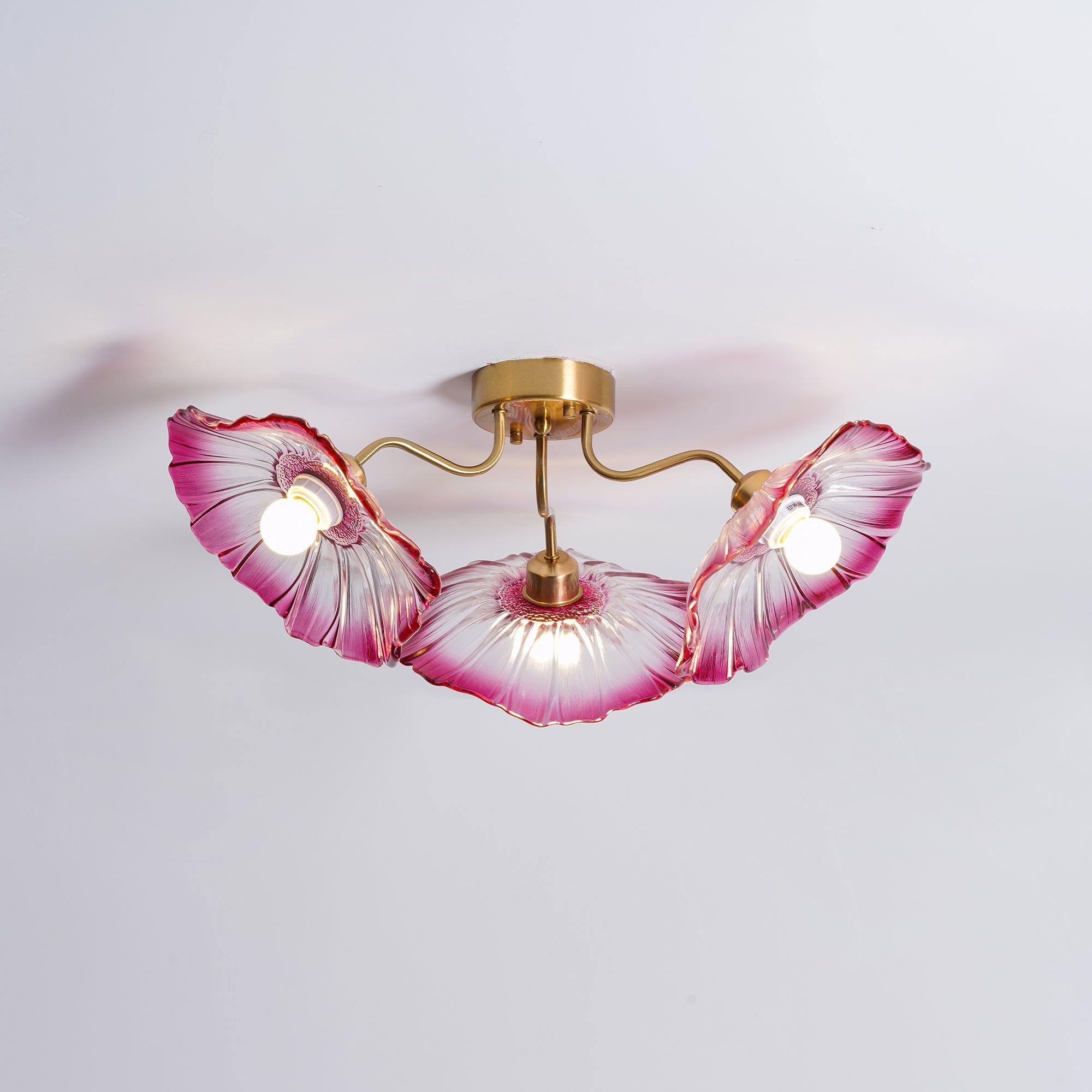 Solara Ceiling Lamp Leaf Glass with Brass Elegant-Neutral Decor