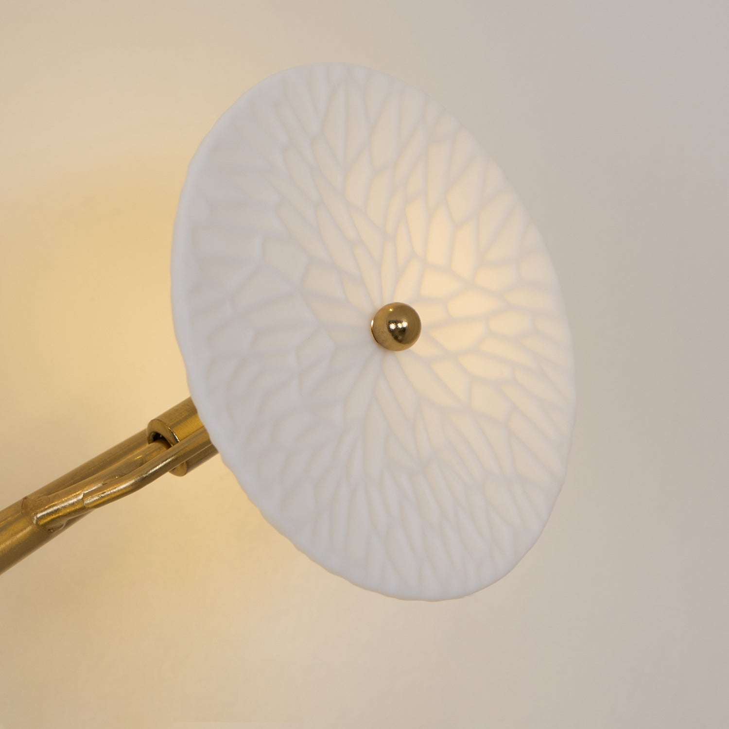 Jesse Elegance Nordic Art Petal Wall Lamp-Neutral Decor