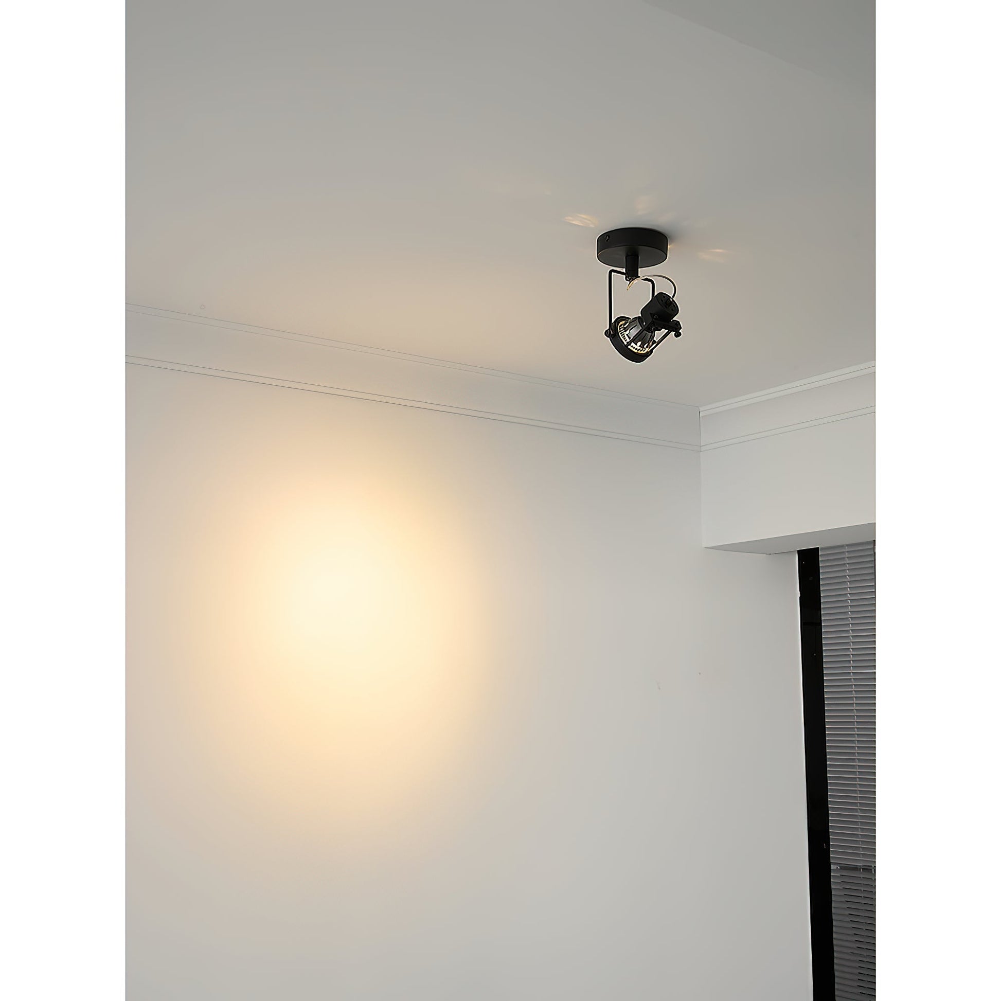 Side profile of the industrial ceiling lamp in Nickel.
