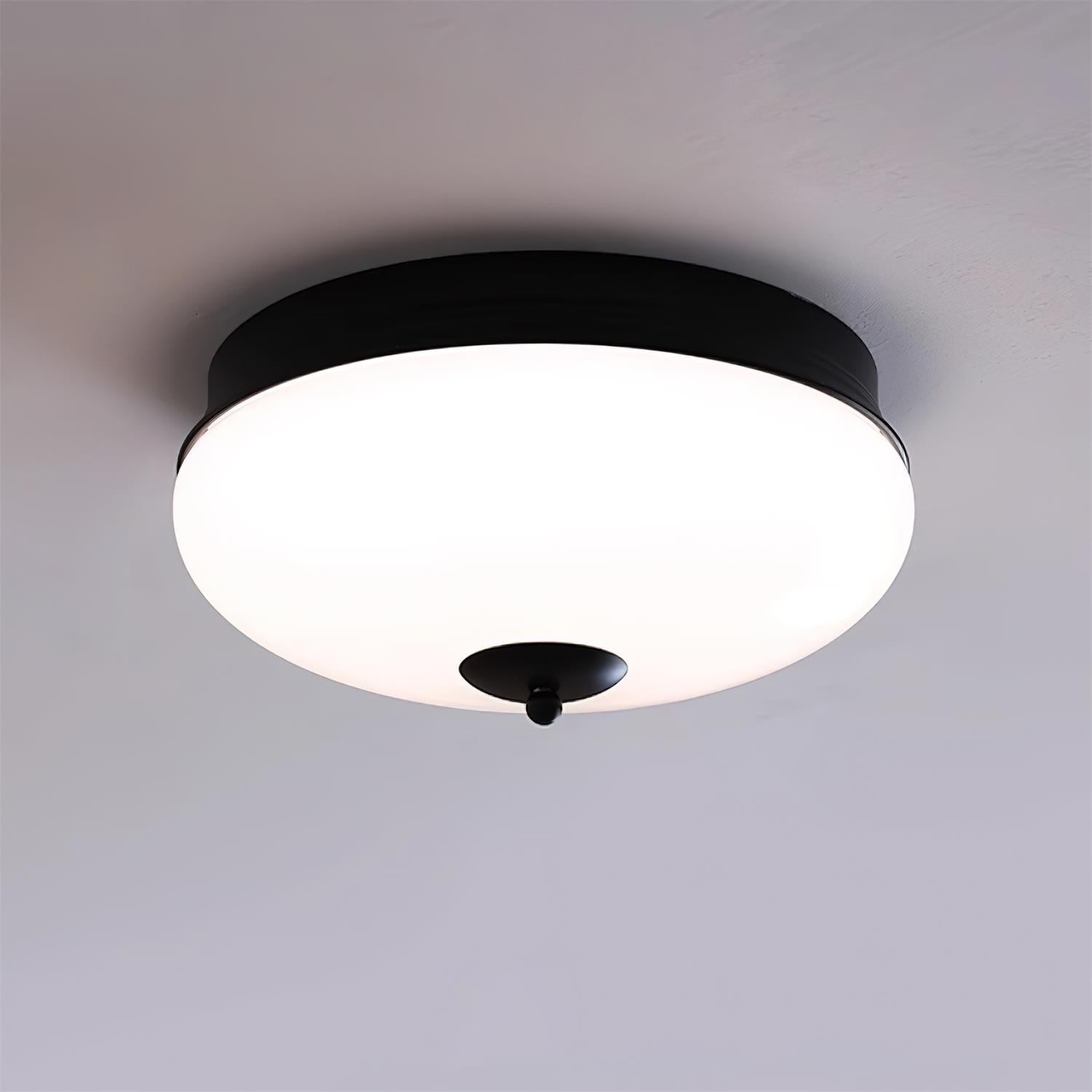 Idia Ceiling Light