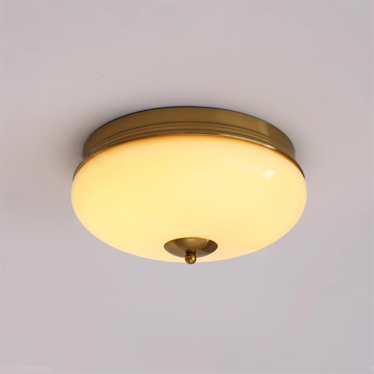 Idia Ceiling Light