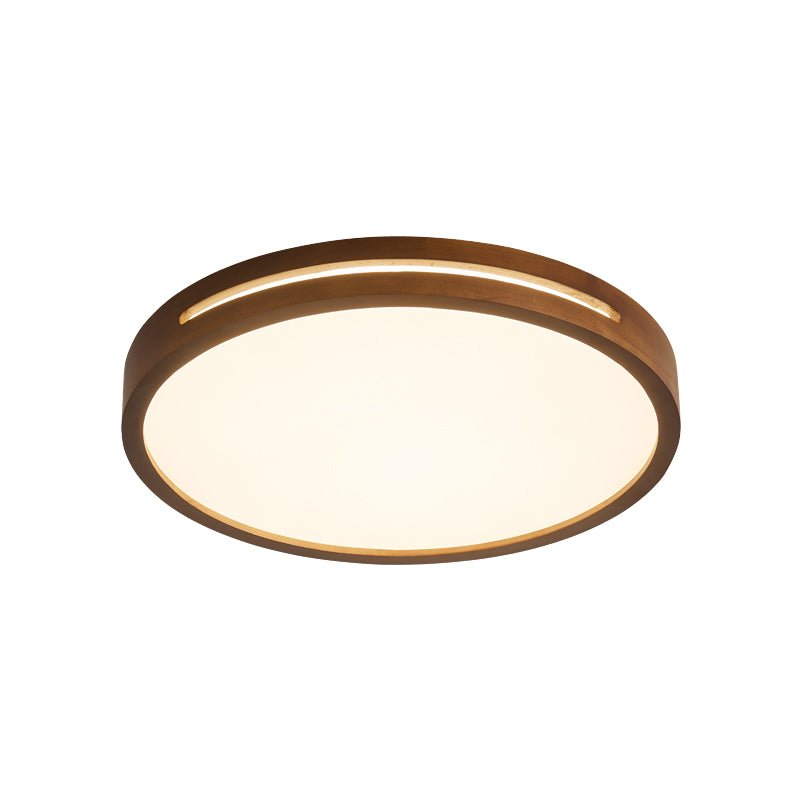 Vizoros Modern Minimalist Ceiling Light-Neutral Decor