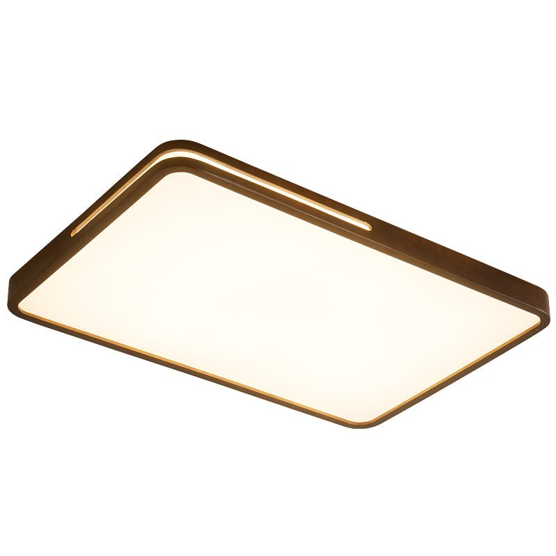 Vizoros Modern Minimalist Ceiling Light-Neutral Decor
