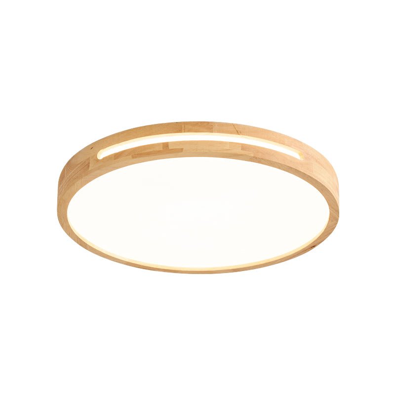 Vizoros Modern Minimalist Ceiling Light-Neutral Decor