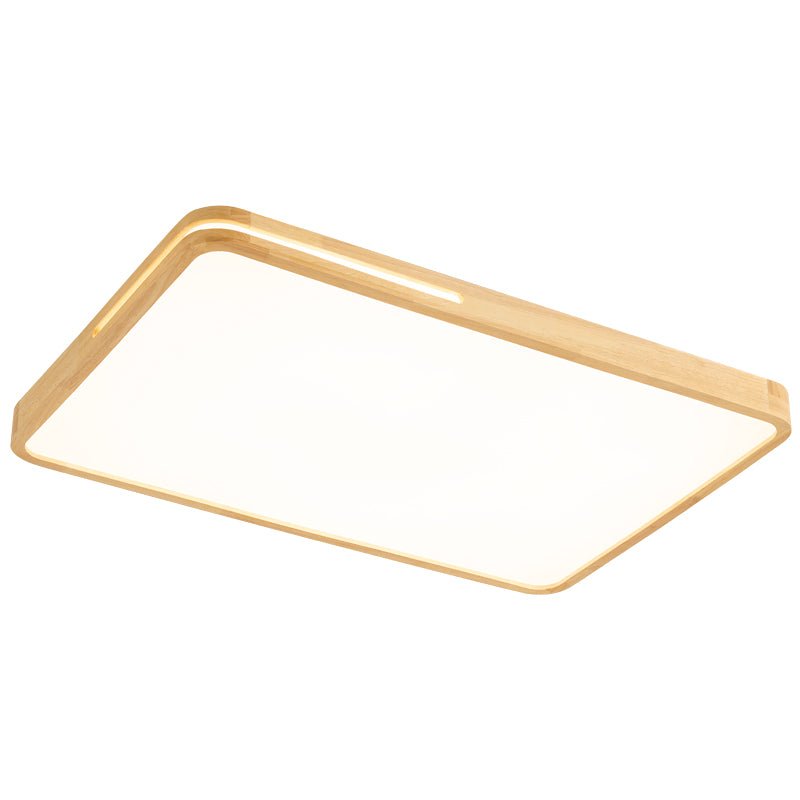 Vizoros Modern Minimalist Ceiling Light-Neutral Decor