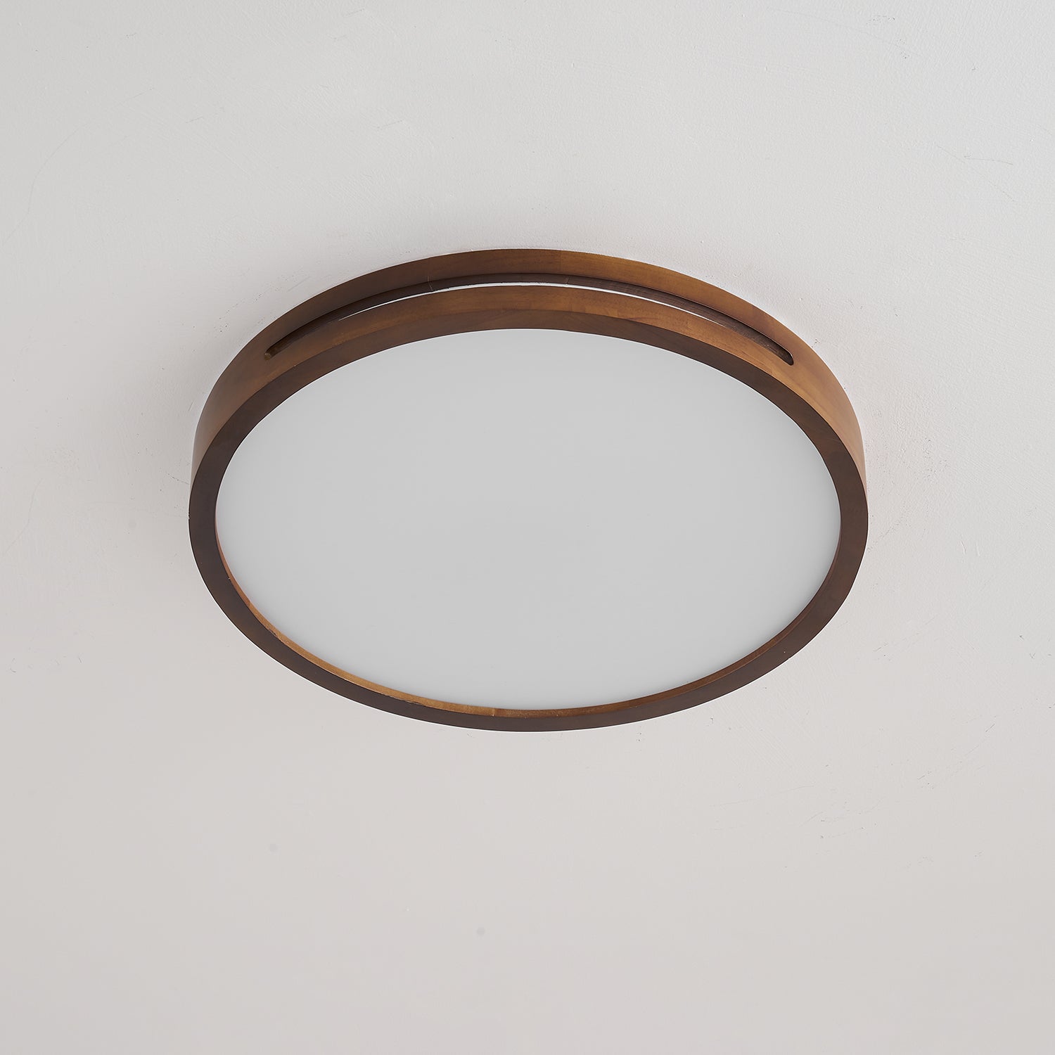 Vizoros Modern Minimalist Ceiling Light-Neutral Decor