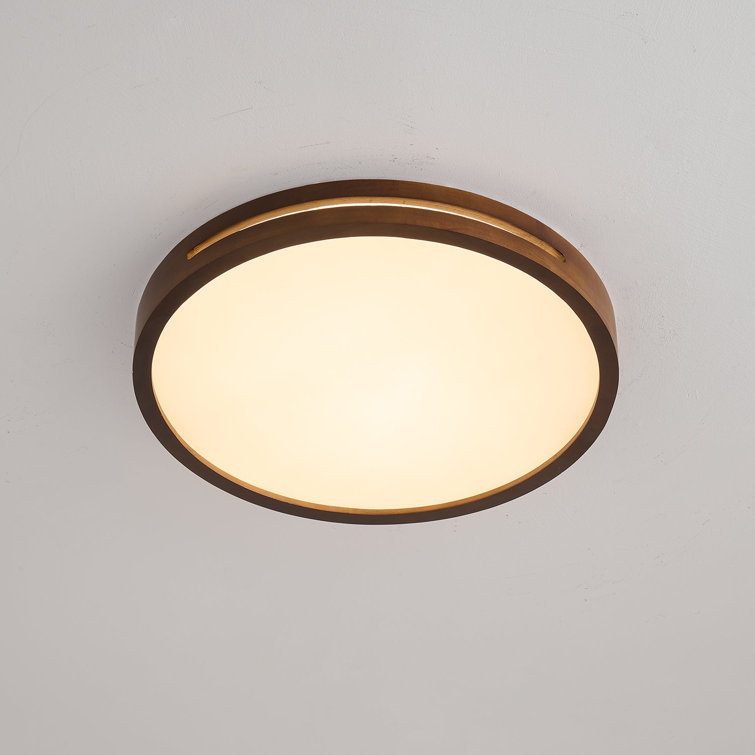 Vizoros Modern Minimalist Ceiling Light-Neutral Decor