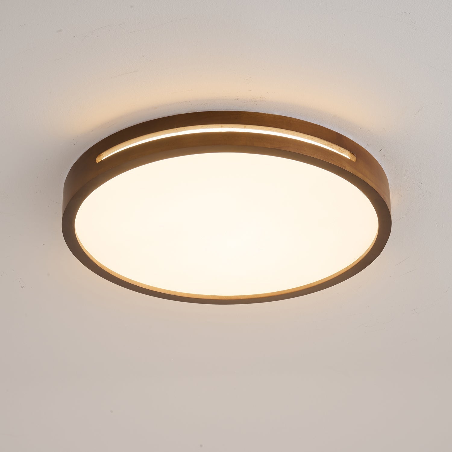 Vizoros Modern Minimalist Ceiling Light-Neutral Decor
