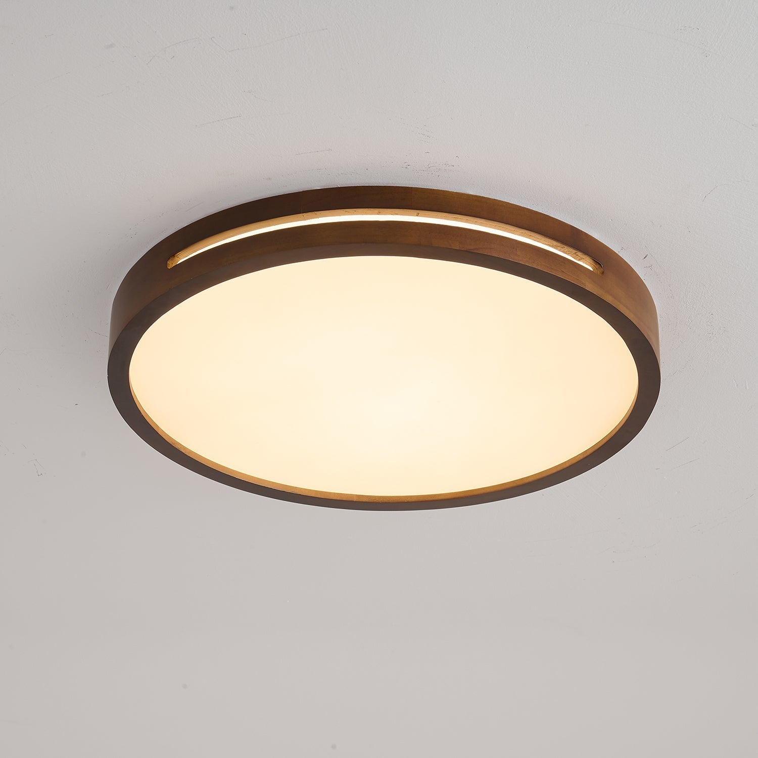 Vizoros Modern Minimalist Ceiling Light-Neutral Decor