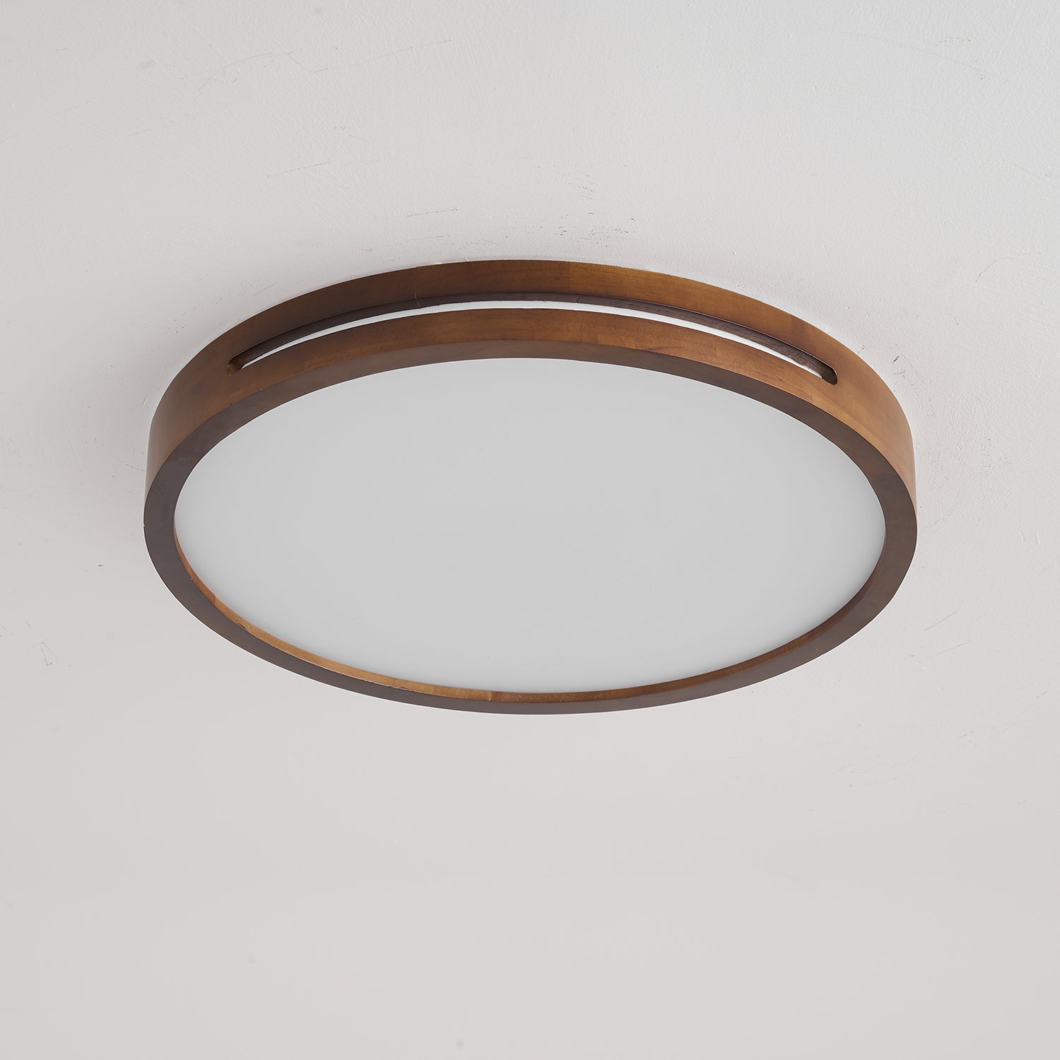 Vizoros Modern Minimalist Ceiling Light-Neutral Decor
