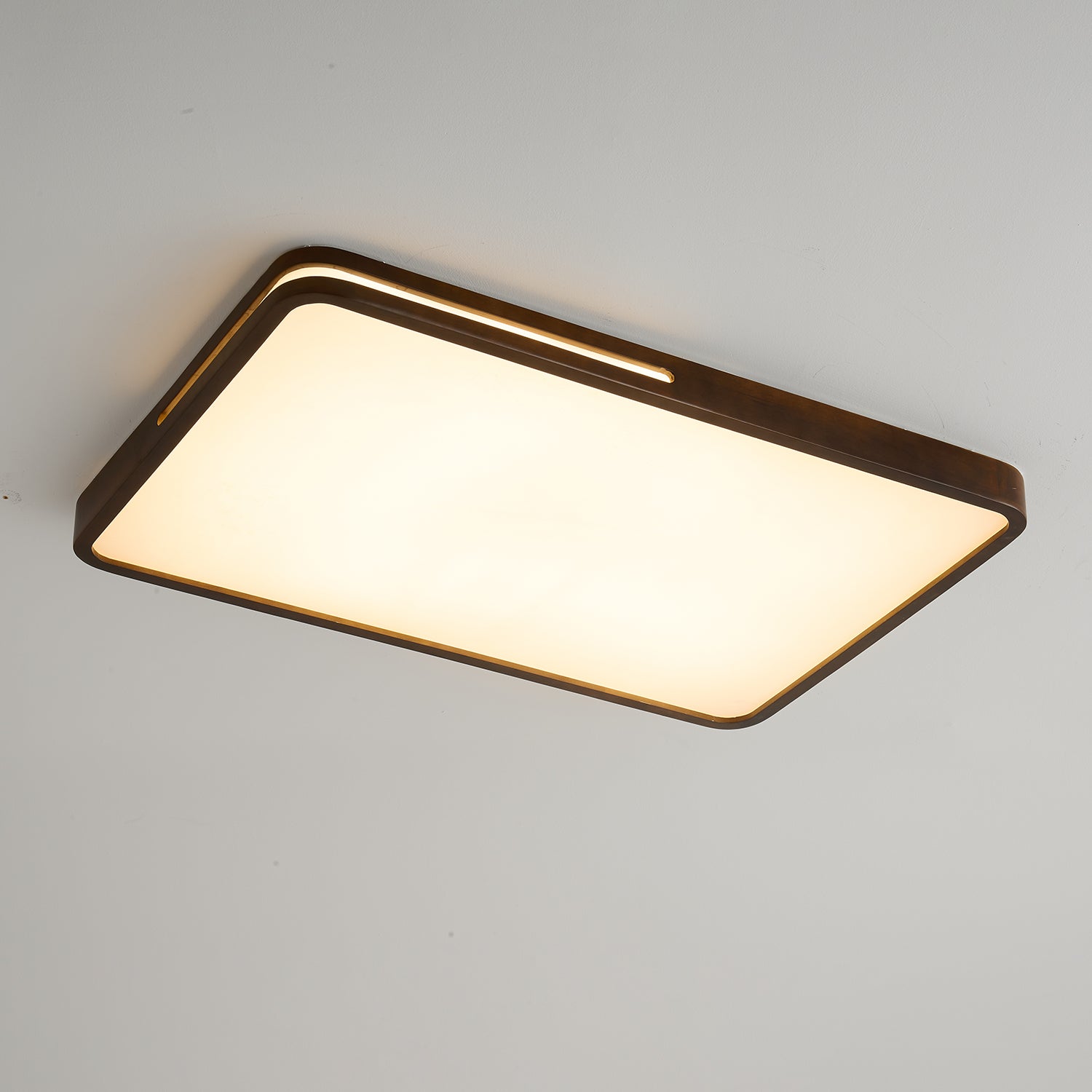 Vizoros Modern Minimalist Ceiling Light-Neutral Decor