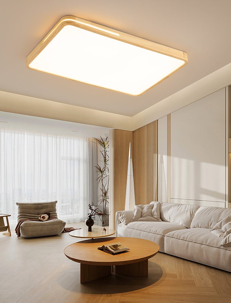 Vizoros Modern Minimalist Ceiling Light-Neutral Decor