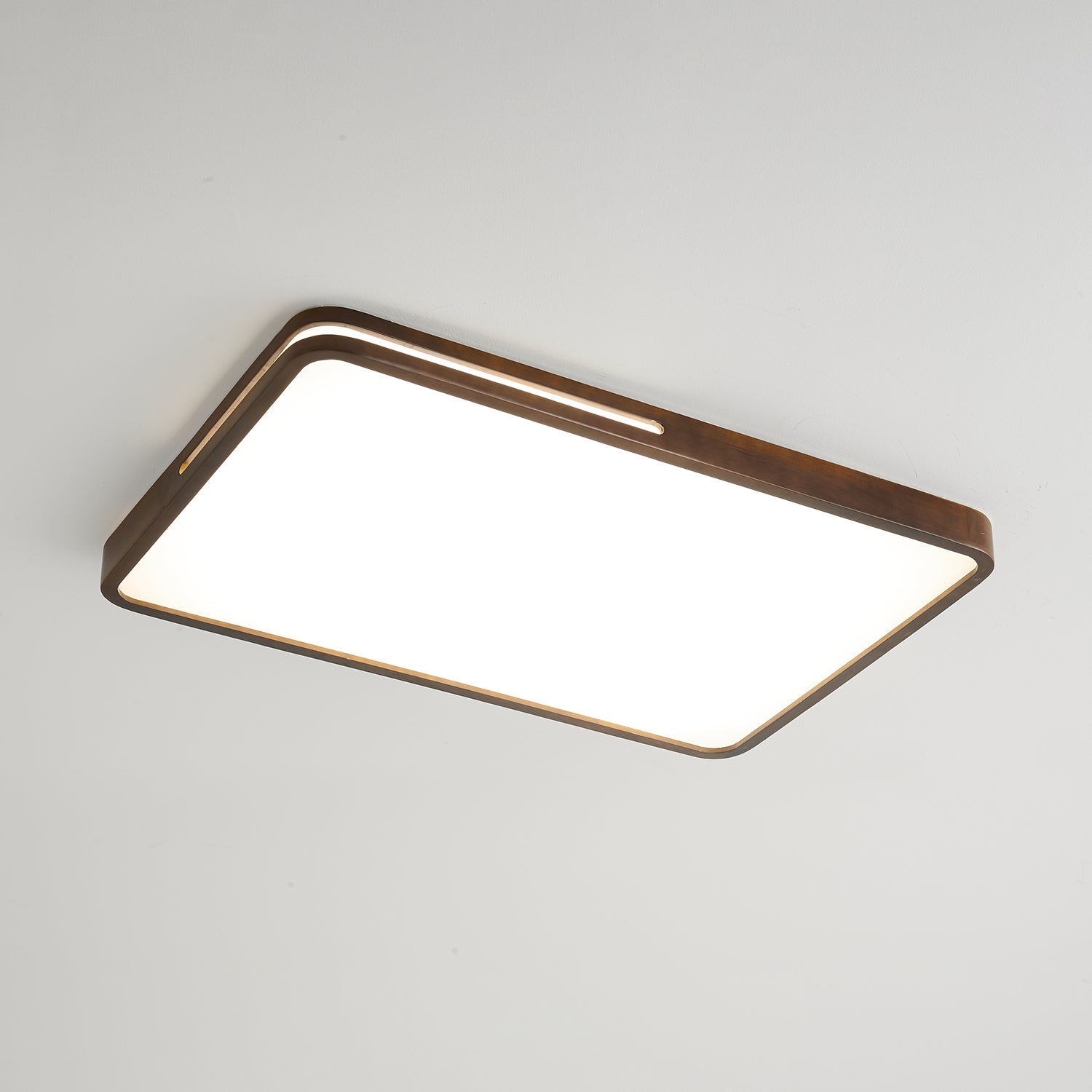 Vizoros Modern Minimalist Ceiling Light-Neutral Decor