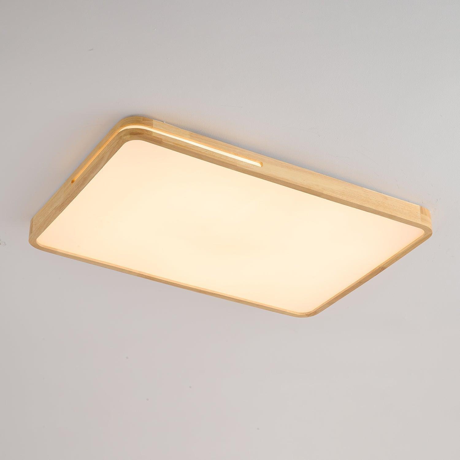 Vizoros Modern Minimalist Ceiling Light-Neutral Decor
