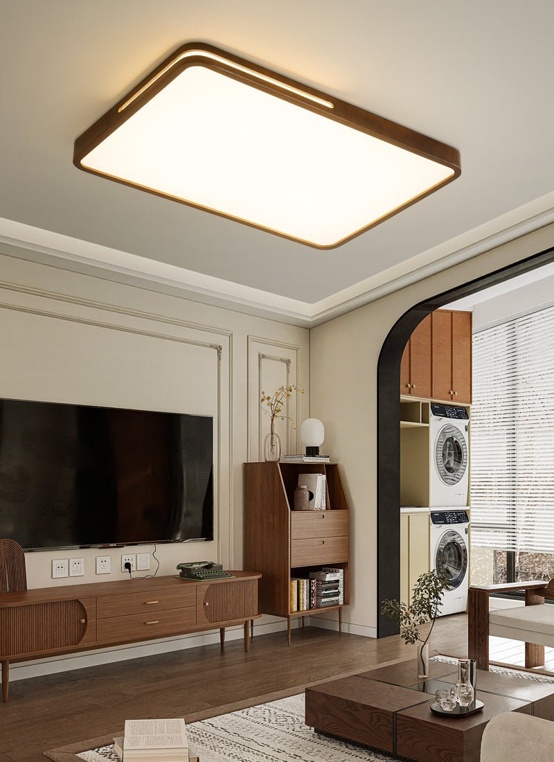 Vizoros Modern Minimalist Ceiling Light-Neutral Decor
