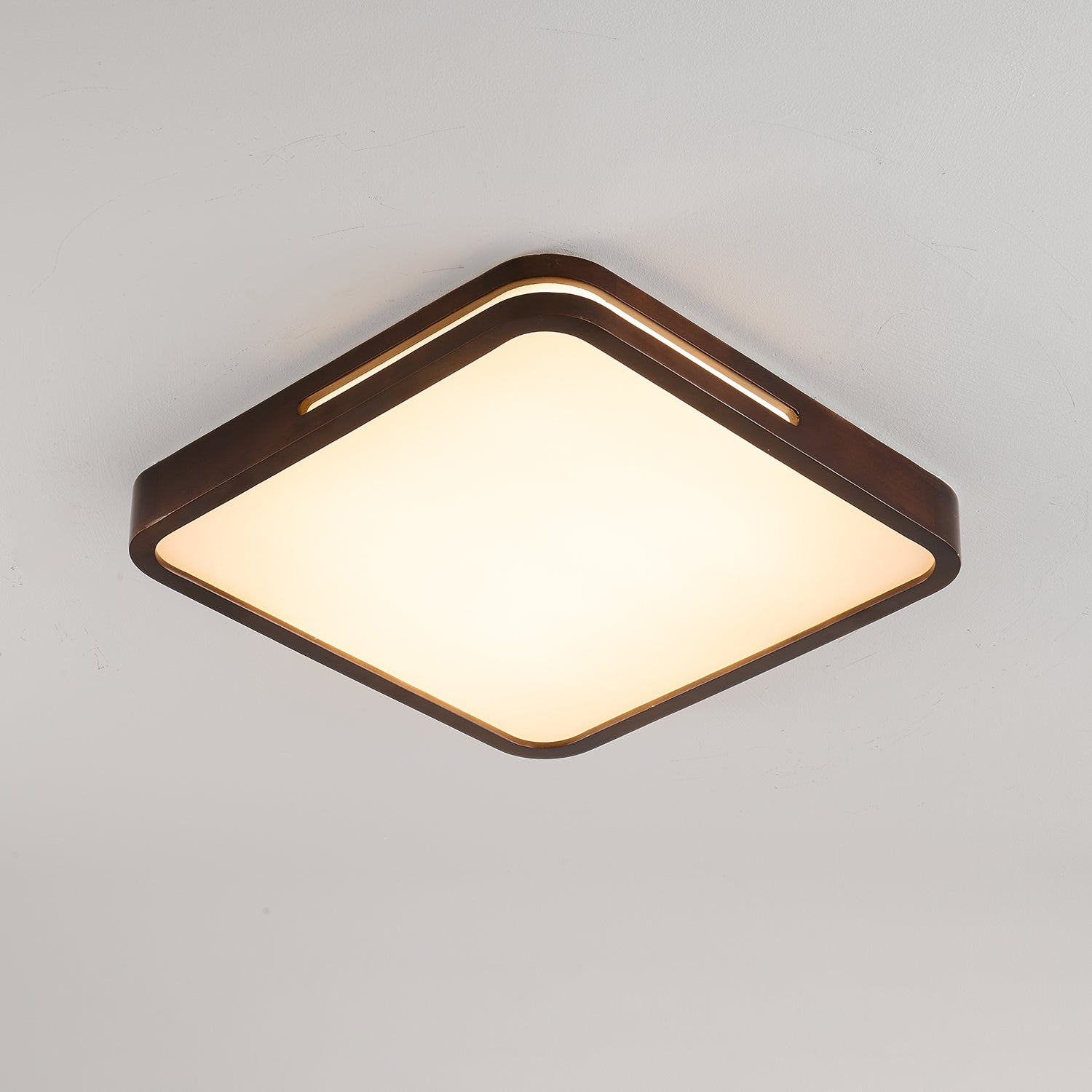 Vizoros Modern Minimalist Ceiling Light-Neutral Decor