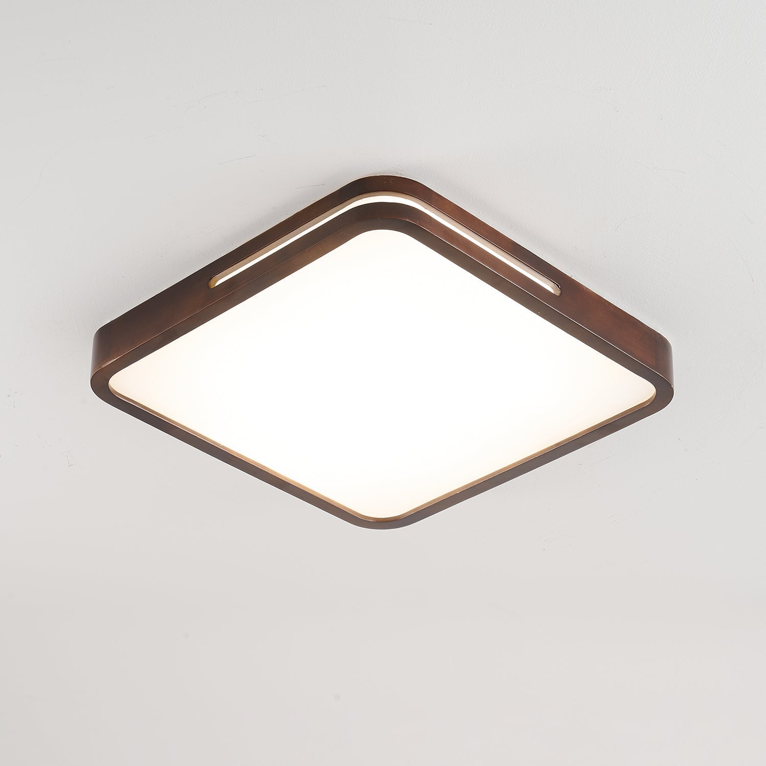 Vizoros Modern Minimalist Ceiling Light-Neutral Decor
