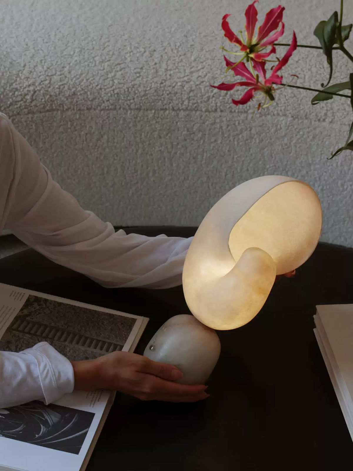 Lumora Shell Table Lamp-Neutral Decor