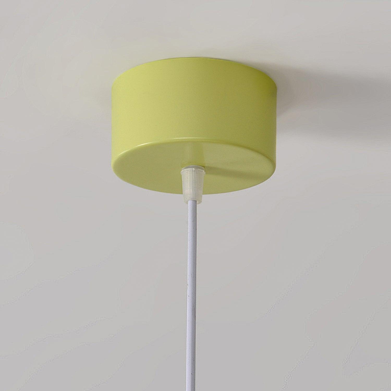 Pane Chandelier Flower Petal Modern-Neutral Decor